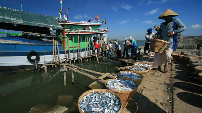 Nelayan Indonesia