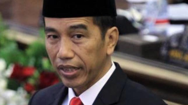 Presiden Joko Widodo (Foto: Ist)