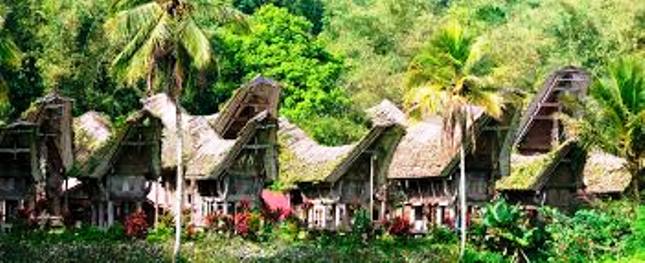 Wisata Tana Toraja (Foto Ist)