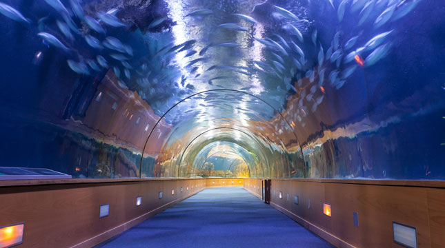 The Virtual Aquarium is being replaced as Checkpoint at Dubai International Airport (Ist)