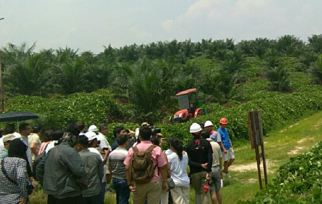 Kawasan Sinar Mas Cepsa Dumai