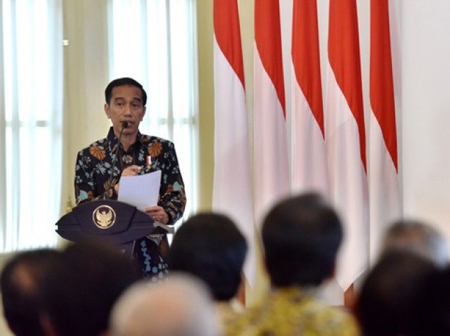 Presiden Jokowi (Foto Setkab)