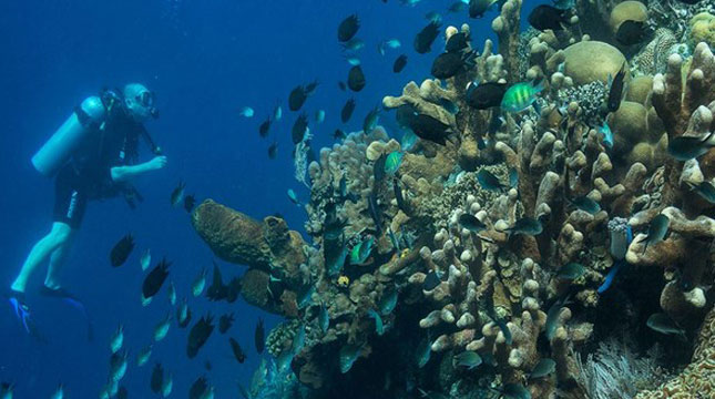 Bunaken Diving site