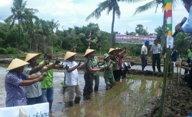 Flores Timur NTT Siap Dukung Swasembada Pangan Nasional