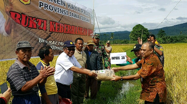 panen bersama petani di Desa Pojok Sari Kecamatan Ambarawa, Kab. Semarang 