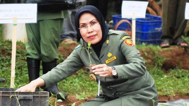 Bupati Serang Ratu Tatu Chasanah (Dok Industry.co.id)