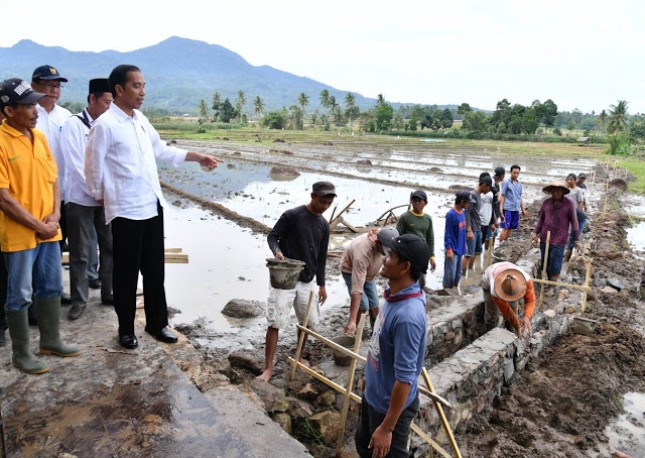 Presiden Jokowi (Foto Biro Setpres)