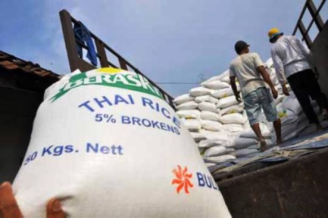 Imported Rice (Photo Dok Industry.co.id)