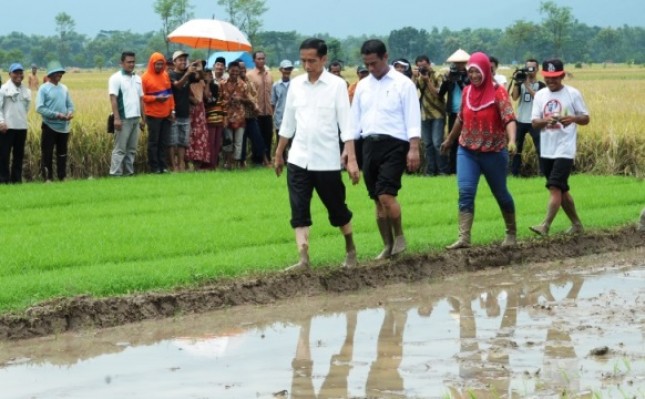 Presiden Jokowi dan Mentan Amran Sulaiman (Foto Dok Industry.co.id))