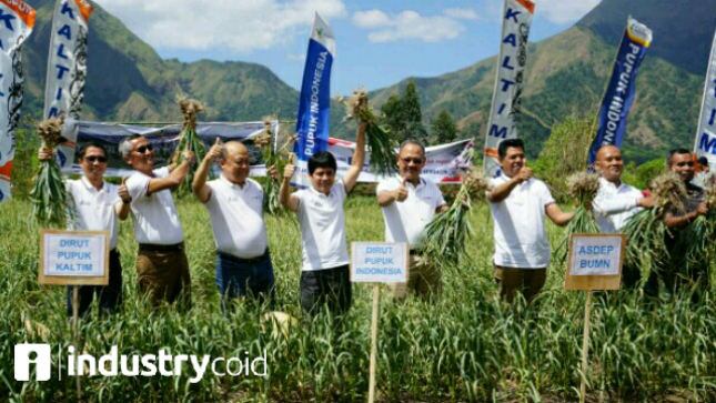 Pupuk Indonesia Kembangkan budidaya bawang putih