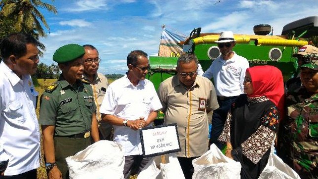 Panen Berlimpah, Saatnya Mengisi Cadangan Beras Pemerintah (Foto Dok Industry.co.id)