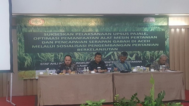 Aceh terus mengupayakan peningkatan pangan. (Dok Industry.co.id)