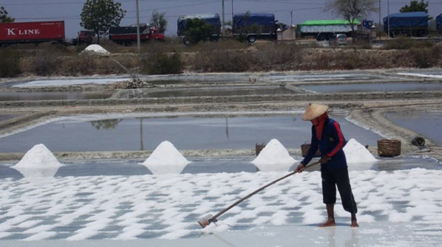 Salt Farmer