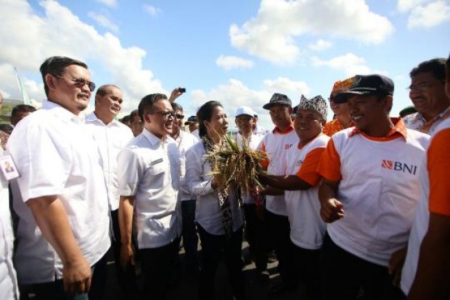 Menteri BUMN Rini Soemarno (Foto Dok Industry.co.id)