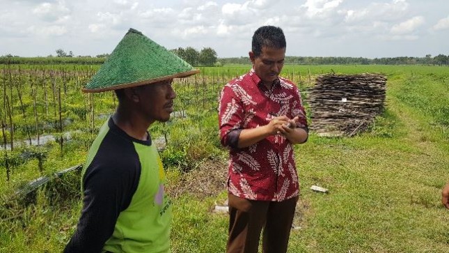 Dirjen Hortikultura Kementan Suwandi (Foto Dok Industry.co.id)