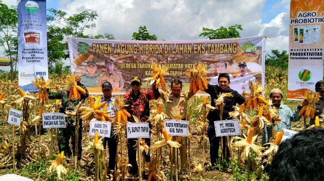 Prima Agro Tech Sulap Lahan Bekas Tambang Jadi Areal Pertanian Produktif