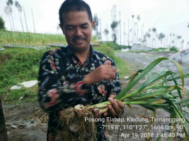 Dirjen Hortikultura Kementan Suwandi (Foto Dok Industry.co.id)