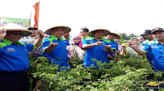 Kementan Monitoring cabai di Blitar