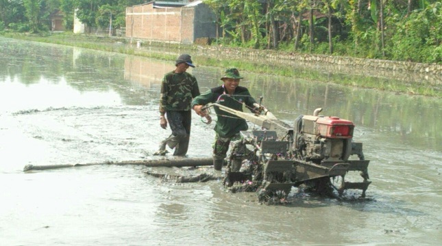 Babinsa terlibat bajak sawah