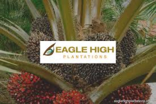 Eagle High Plantations