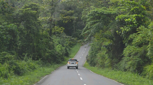 Development of Trans Maluku Road in Seram Island