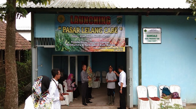 Pasar lelang cabai di Malang, Jawa Timur