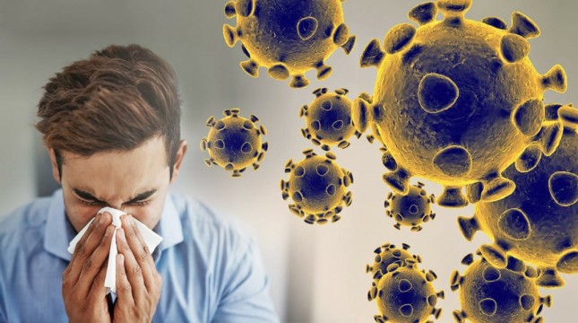 Coronavirus themed Malware (Images by Novel coronavirus COVID-19 FDA)