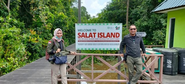 Salat Island is become a conservation area for Orangutan by the management of PT Sawit Sumbermas Sarana Tbk (SSMS). (Foto: Public Relations of PT Sawit Sumbermas Sarana Tbk)