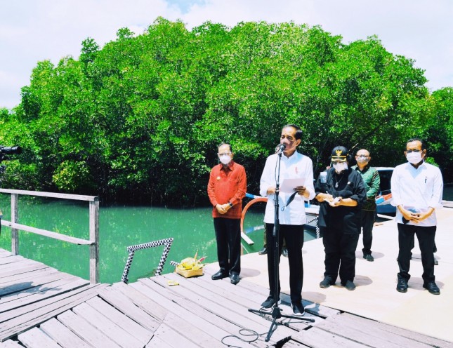 President Jokowi inspects mangrove forest at Ngurah Rai Grand Forest Park in Bali province (08/10) (Photo by: Presidential Secretariat’s Press, Media, and Information Bureau/Laily)