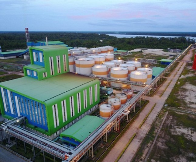 Photo Caption: A Crude Palm Oil (CPO) plantation owned by PT Citra Borneo Utama (CBU), a subsidiary of PT Sawit Sumbermas Sarana Tbk (SSMS). (Source: The Public Relation of PT Citra Borneo Utama)