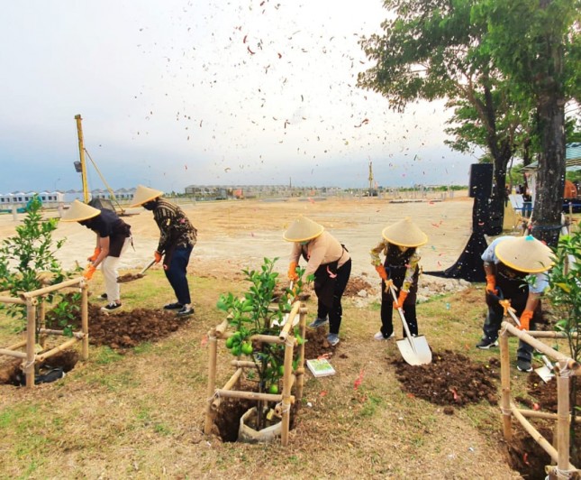 Orange Groves at PIK 2 