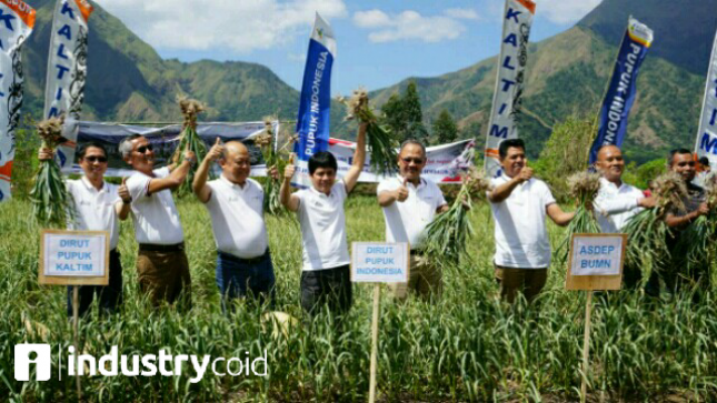 Pupuk Indonesia Develop garlic cultivation