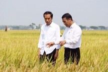 Menteri Pertanian Amran Sulaiman dan Presiden Jokowi (Foto (Humas)