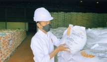 President Jokowi inspects rice stock availability at Bulog warehouse in North Jakarta (21/07/2021). (Photo by: Presidential Secretariat’s Press, Media, and Information Bureau)