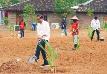 President Jokowi plants “genjah” coconut trees, in Boyolali, Central Java province (Photo: PR Office of Cabinet Secretariat / Dindha)