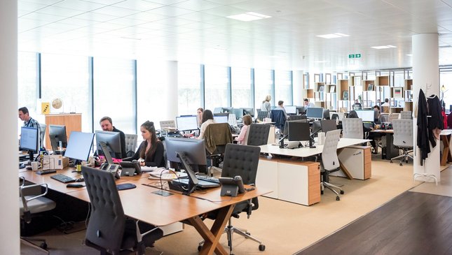 Employees working at computers in an open-plan office
