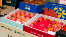 Yan’an Apple Price Index Debuts in Shanghai: Unlocking Fair, Quality-Based Fruit Pricing