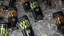 Noctría Arrives to Own the Night