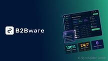 New B2Bware Replaces Spreadsheets in Modern Businesses