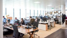 Employees working at computers in an open-plan office