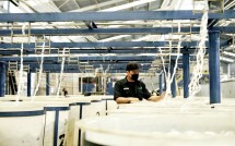 Pekerja Industri Tekstil