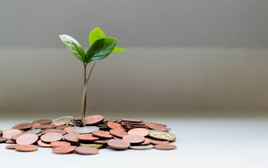 Emergency fund savings money jar financial security